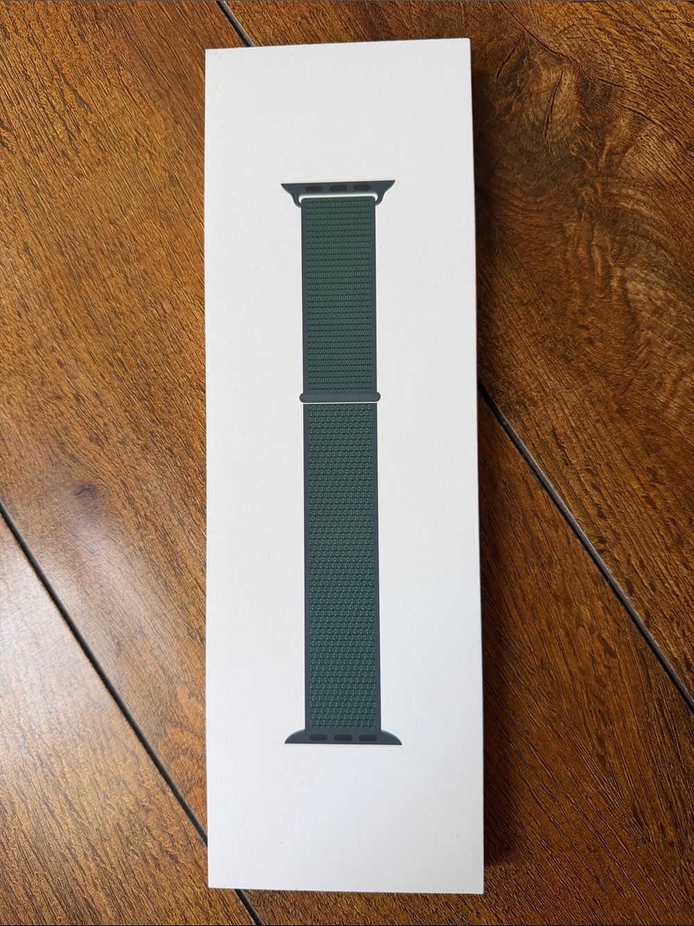 Apple Solo Loop Watch Band - Forest Green